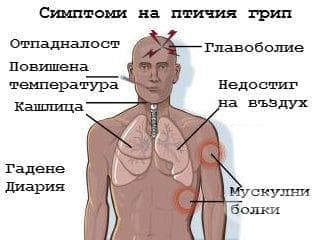 Симптоми на птичия грип