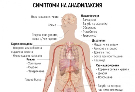 Анафилактичен шок