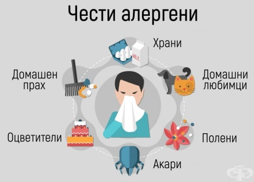 Причини за алергия