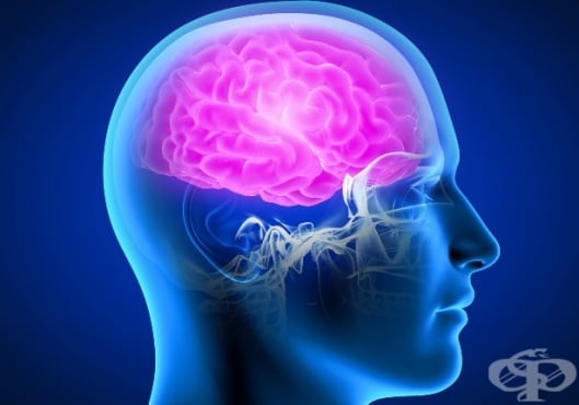 Дефицит на допамин в мозъка: основна причина за поява на болестта