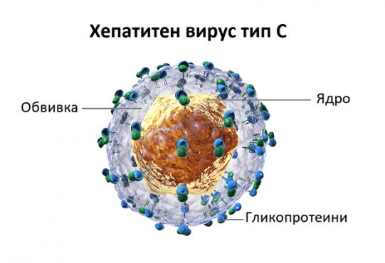 Хепатитен вирус C