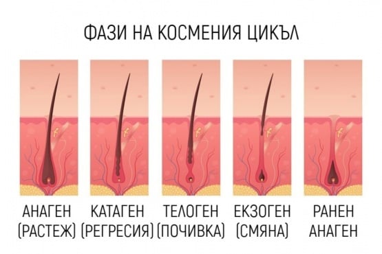 Космен цикъл