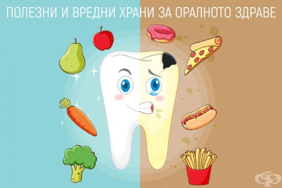 Полезни и вредни храни и напитки за устната хигиена