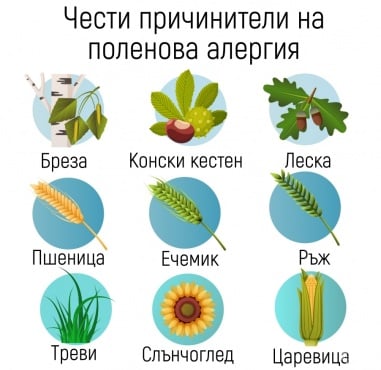 Поленова алергия