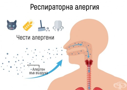 Респираторна алергия