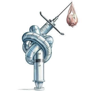 Ваксина за свински грип