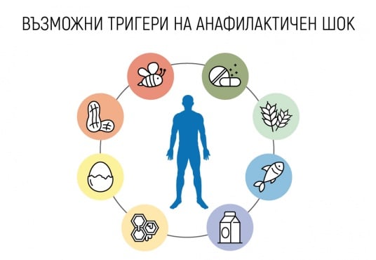 Причини за анафилаксия