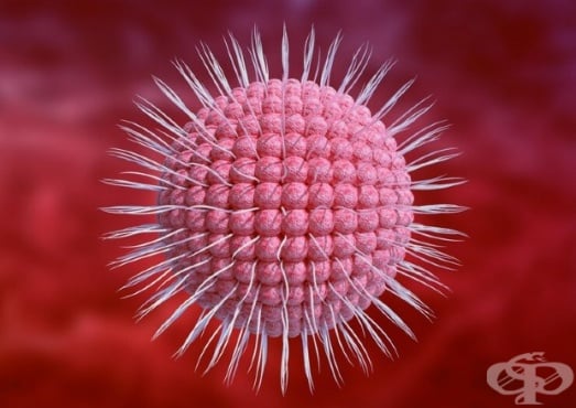 Varicella-zoster virus