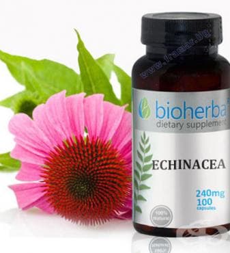 БИОХЕРБА ЕХИНАЦЕЯ капсули 240 мг. * 100