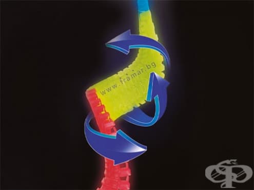 ПИСТА FANTASTIC TRACKS SUPER LOOP