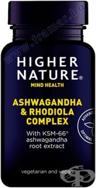 ����� ��������