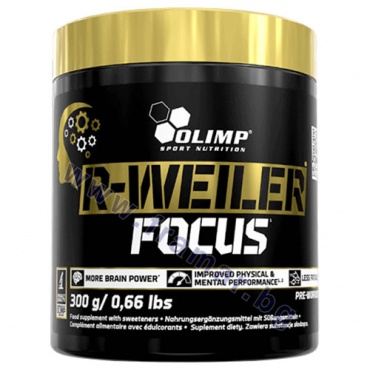       R-WEILER FOCUS   300 