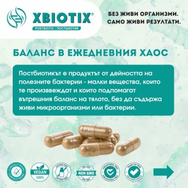 ������ � ���������� ����