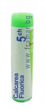      5 CH