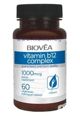 ����� ��������