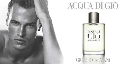     ARMANI AQUA DI GIO 100  