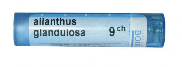 АИЛАНТУС ГЛАНДУЛОЗА 9 СН