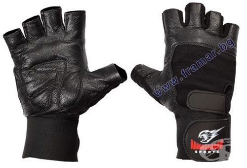        /  /  /  /  RED LINE  L, M, S, XL