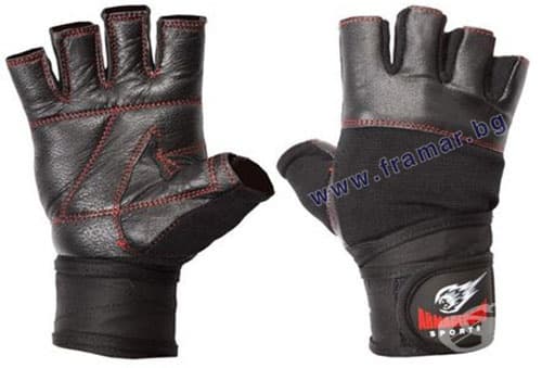        /  /  /  /  RED LINE  L, M, S, XL