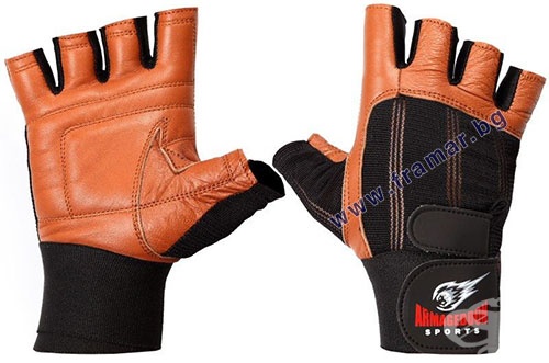        /  /  /   L, M, S, XL