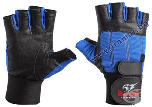        /  /  /  /  RED LINE  L, M, S, XL