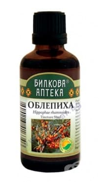 ����� ��������