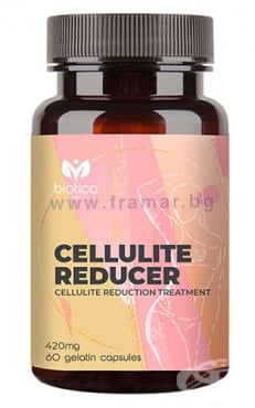 ����� ��������