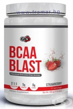   BCAA  500  