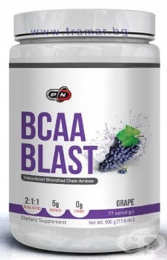   BCAA  500  