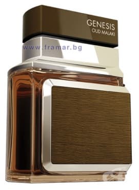   GENESIS OUD MALAKI -  100 