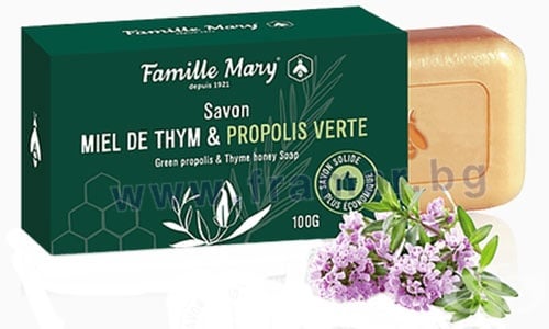             100  060490 FAMILLE MARY