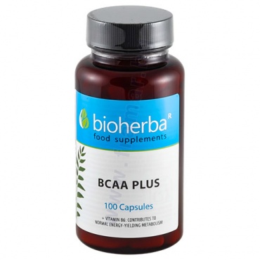     BCAA    B6  * 100