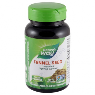       480  * 100 NATURE'S WAY