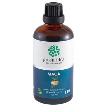  ()    100  GREEN IDEA