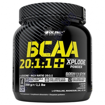     BCAA 20:1:1 500  