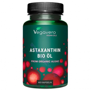 �������� ����������� ������� 8 �� * 60