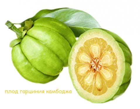 ГАРСИА СЛИМ таблетки * 60 ХЕЛД ЕЙД