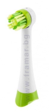       +  TOOTH FAIRY SET BLUE