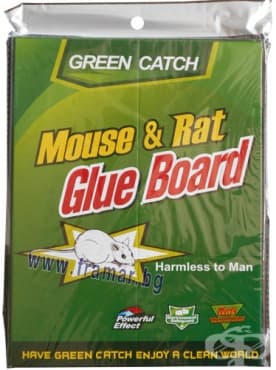 ����� ��������