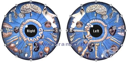 АПАРАТ ЗА ИРИСОВА ДИАГНОСТИКА