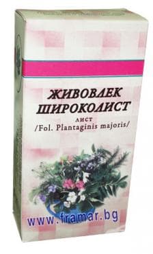 ЖИВОВЛЕК ЕДРОЛИСТЕН ЛИСТА