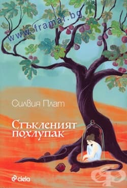 СТАРА КОРИЦА