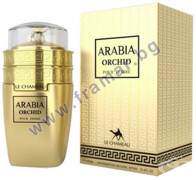         ARABIA ORCHID 100 