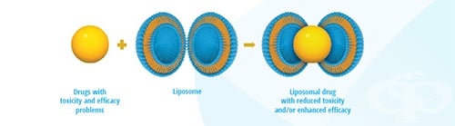 ТУРМЕРИК МАКС 500 мл ВЕГАФАРМА