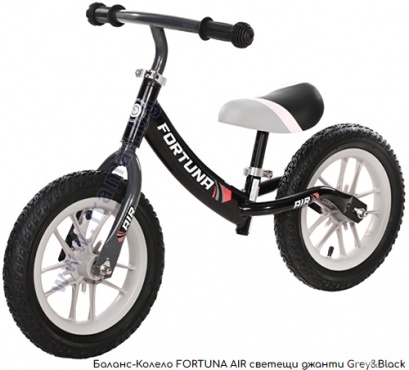 ������ ������ ������ FORTUNA AIR ������� ������