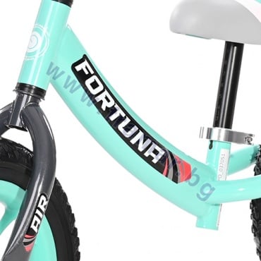 ������ ������ ������ FORTUNA AIR ������� ������