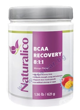 НАТУРАЛИКО BCAA РЕКОВЪРИ 8:1:1 621 г