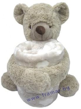          TEDDY