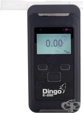        DINGO E200