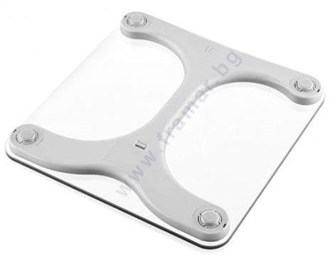   PERSONAL SCALE VITAL FIT